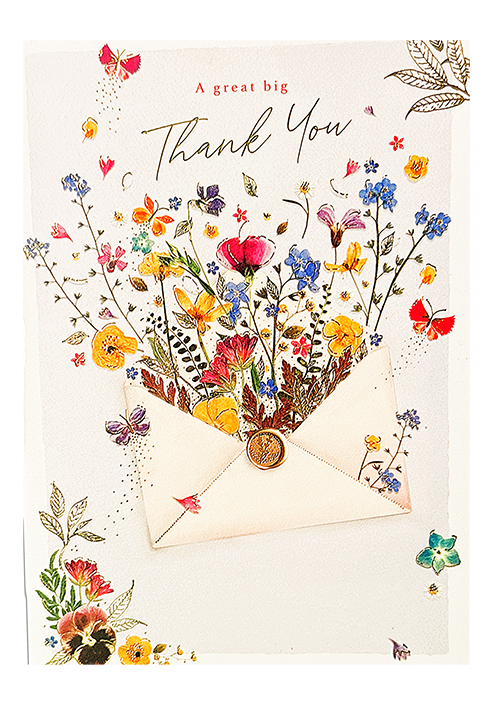 A great big Thank you