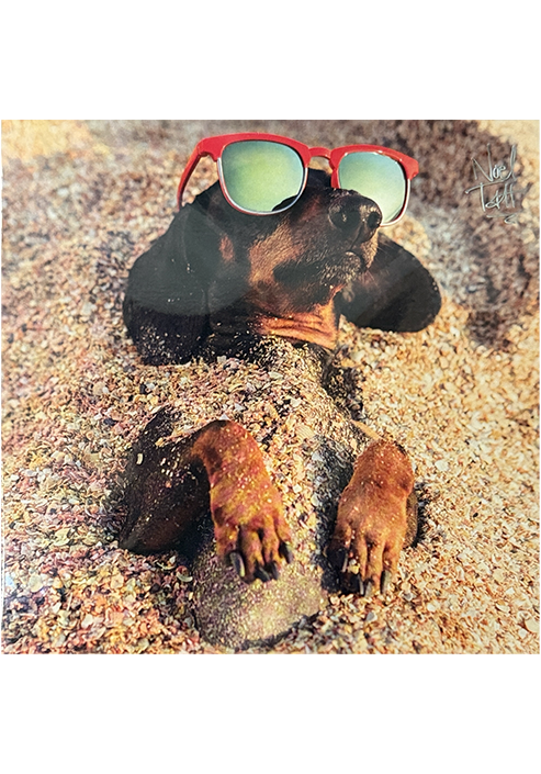 Cool Sausage Dog