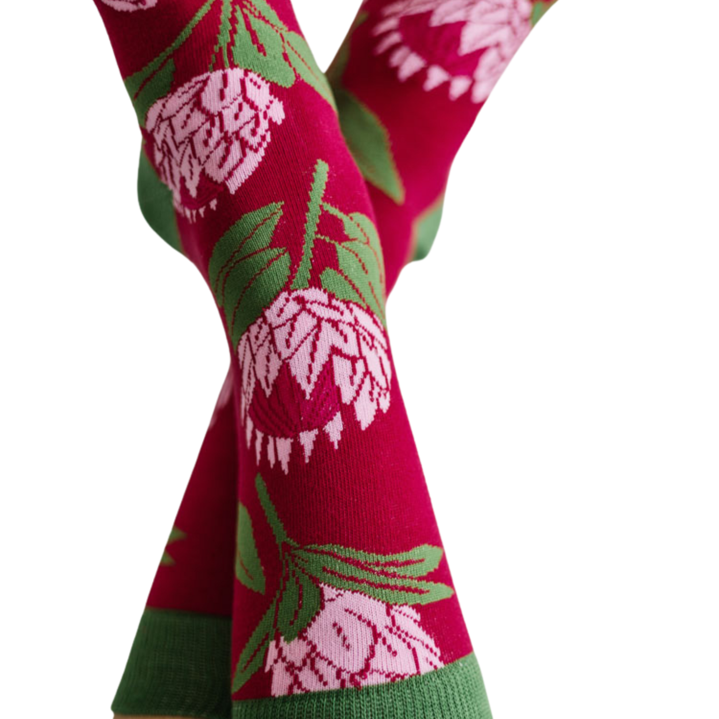 Protea Sokkies