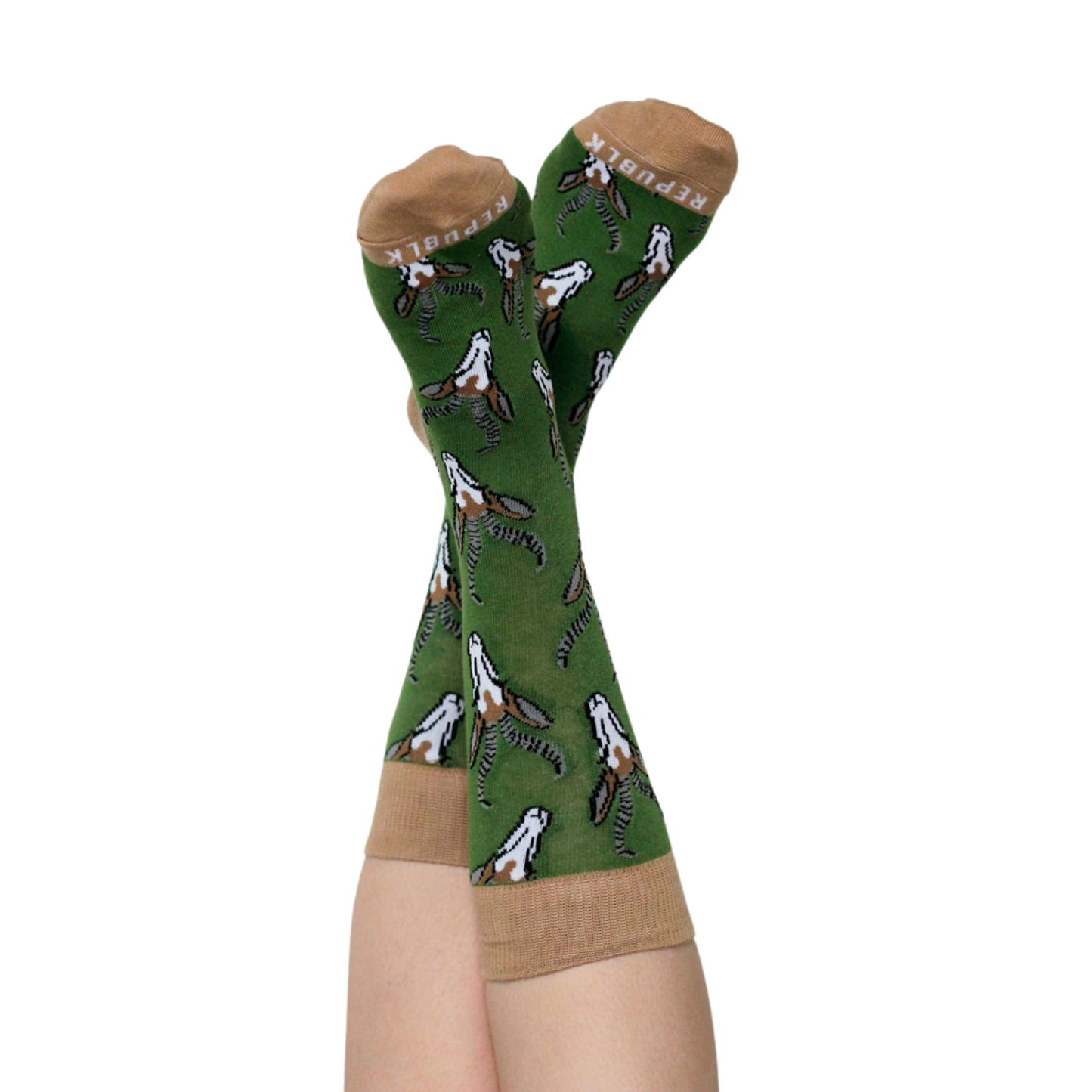 Springbok Sokkies