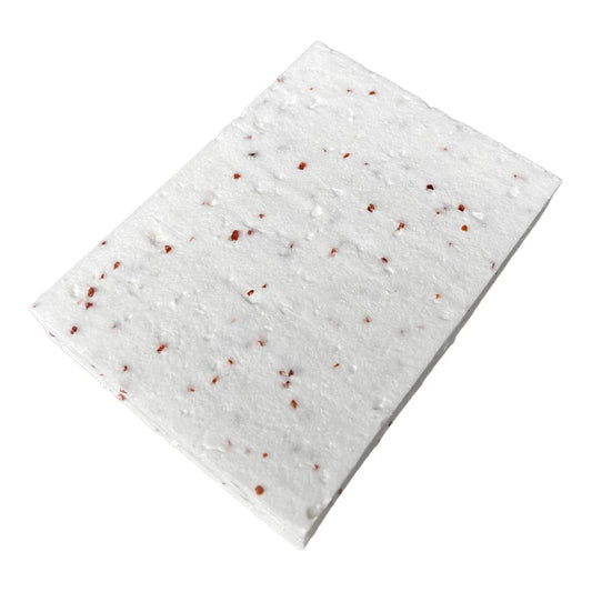 Windhond Blits Single Pack